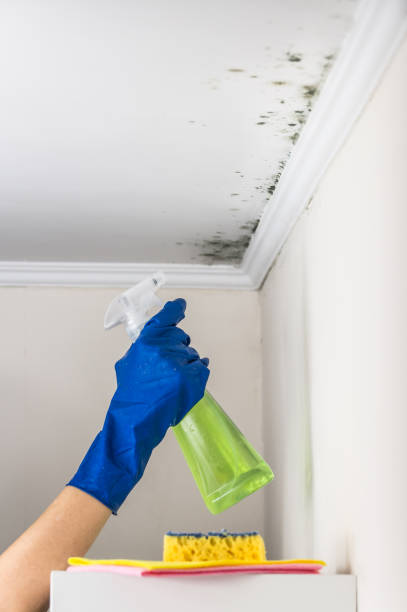 Mold Remediation for Rental Properties in Greenfield, WI